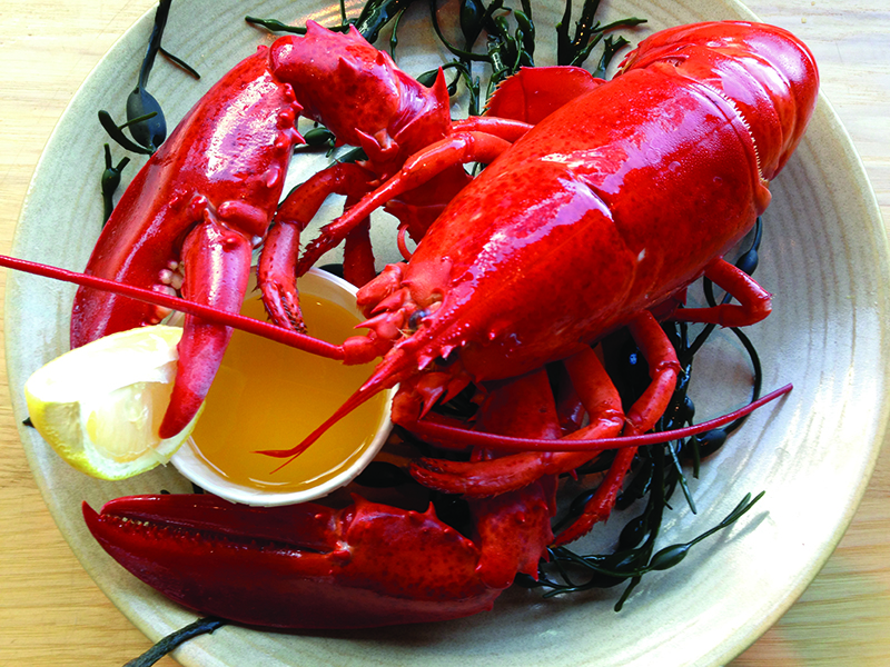 Legal Sea Foods lobster