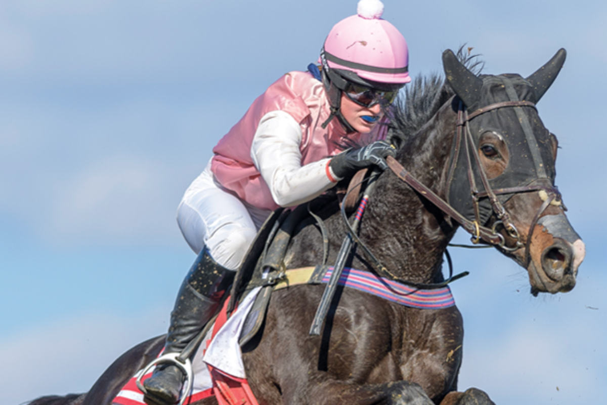 Everything You Need to Know About Steeplechase - The Hunt 